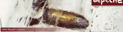 depeCHe MODE Fanzine - FREESTATE.hu